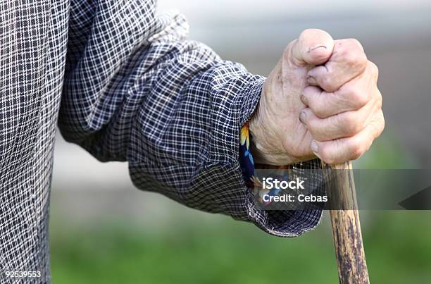 늙음 손 80-89세에 대한 스톡 사진 및 기타 이미지 - 80-89세, 가지-식물 부위, 관절염