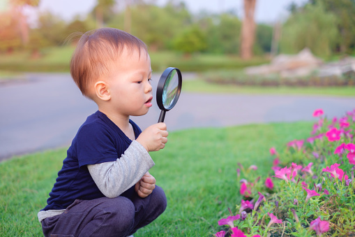 Cute little Asian 18 months / 1 year old toddler baby boy child exploring environment by looking through a magnifying glass in sunny day at beautiful garden, kid first experience & discovery concept