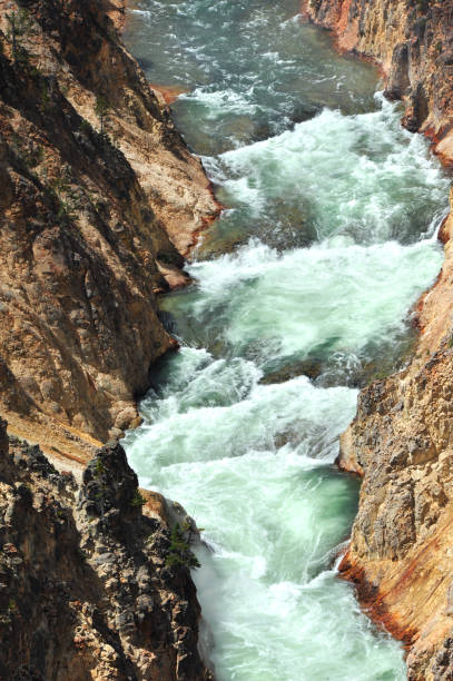 istock Canyon Walls in Yellowstone 925397878