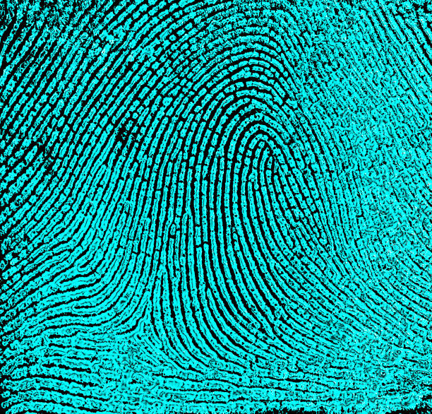 istock Fingerprint background. Fingerprint with ultraviolet lamp. 925398246