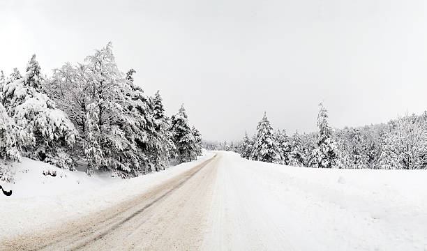 istock Road at winter, Serbia, Divcibare 92540083