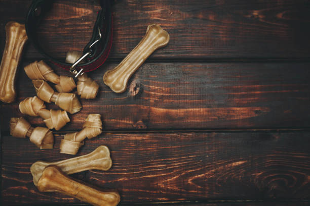 istock Pet care concept on dark wooden background 925408078