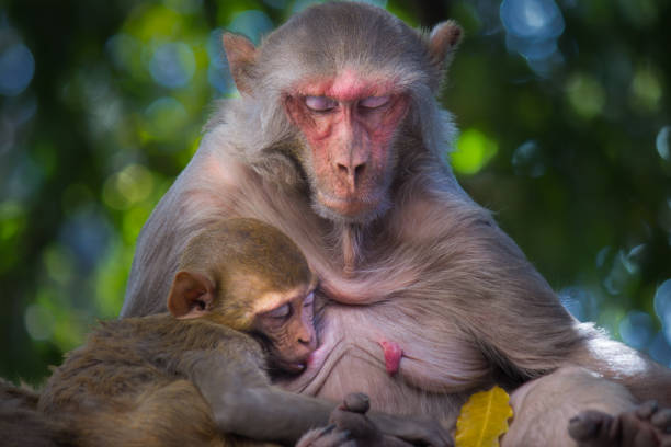 istock Mother and Child 925411066