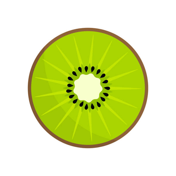illustrations, cliparts, dessins animés et icônes de icône de tranches de fruits kiwi - kiwi