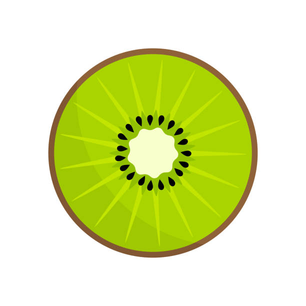 illustrazioni stock, clip art, cartoni animati e icone di tendenza di icona fetta di kiwi - kiwi