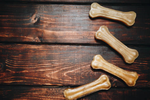 istock Pet care concept on dark wooden background 925414320