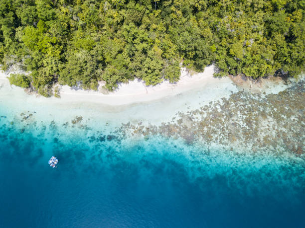 istock Rainforest and Reef in Raja Ampat 925421700