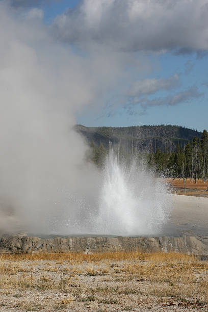 istock Small Geyser in Yellowstone National park 92542444