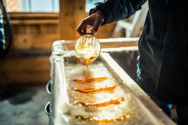 A close-up of a person at sugar shack pouring maple syrup onto snow to make maple sugar taffy