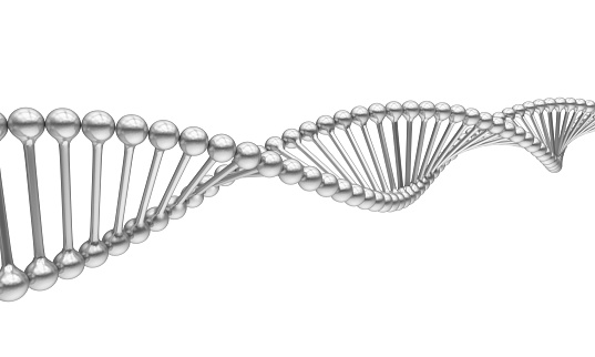 DNA Molecule isolated on white background. 3D render