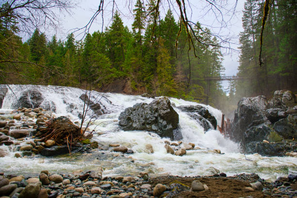 widok na anglika river falls w vancouver island, bc kanada - englishman river falls zdjęcia i obrazy z banku zdjęć