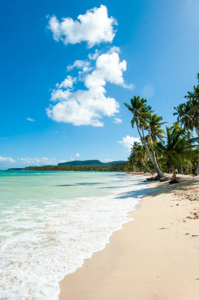 istock Dominican Republic, Samana Peninsula 925432338