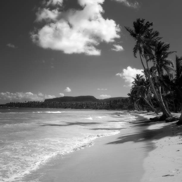istock Dominican Republic, Samana Peninsula 925432588