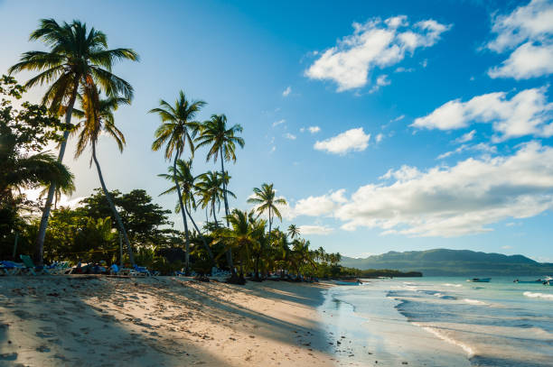 istock Dominican Republic, Samana Peninsula 925432732