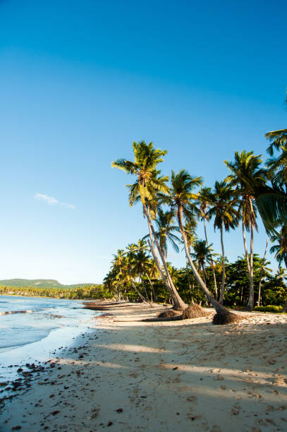 istock Dominican Republic, Samana Peninsula 925432958
