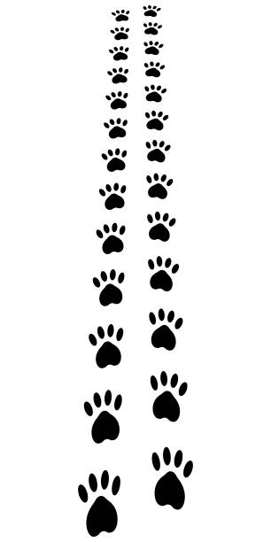 足道足印刷動物猫犬の足跡、ベクトル離れてパス視点 - paw print animal track dirt track点のイラスト素材／クリップアート素材／マンガ素材／アイコン素材