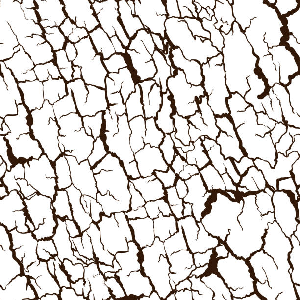 ilustraciones, imágenes clip art, dibujos animados e iconos de stock de patrón transparente de vector de textura de corteza. estructura de madera natural - backgrounds rusty organic dirty