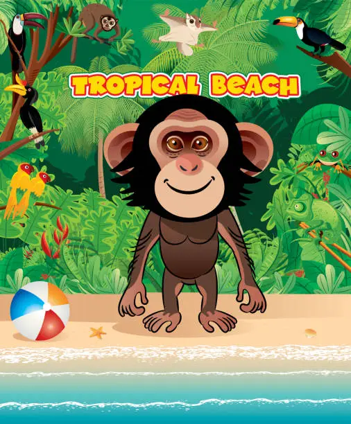 Vector illustration of Beach and chimpanzees