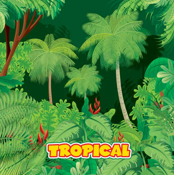 Vector illustration of Tropical rainforest