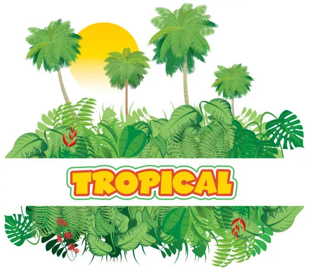 Vector illustration of Tropical Jungle