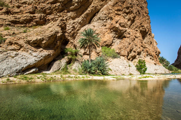 beautiful wadi shab oasis in oman.