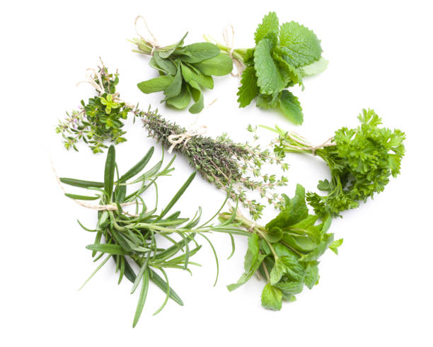 istock Circle of ribs with herbs isolated on white background 925444352
