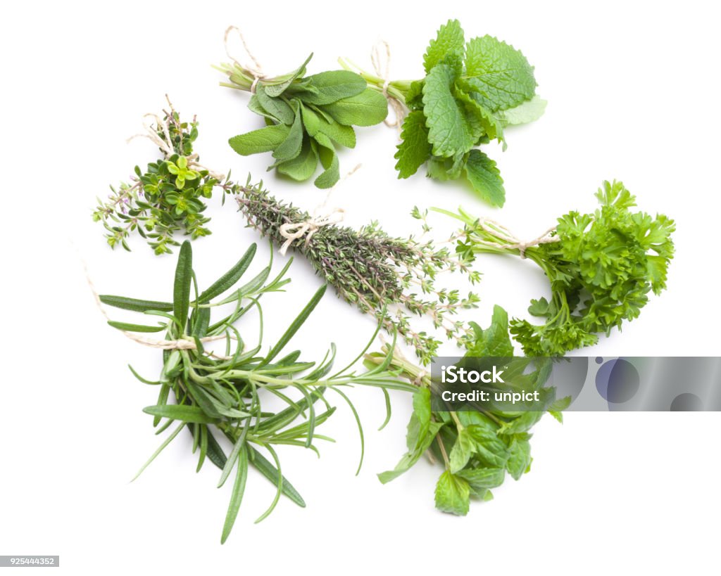 Circle of ribs with herbs isolated on white background Herbal Medicine Stock Photo