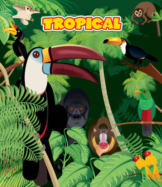 tropikalny las deszczowy - cartoon monkey animal tree stock illustrations