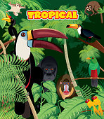 istock Tropical rainforest 925446346