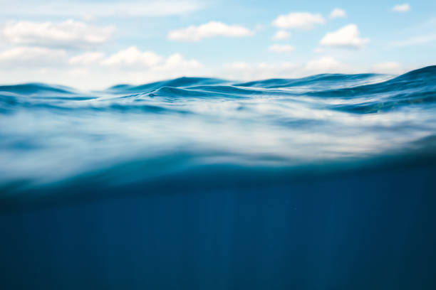 Underwater View Idyllic summer view from underwater. purified water photos stock pictures, royalty-free photos & images