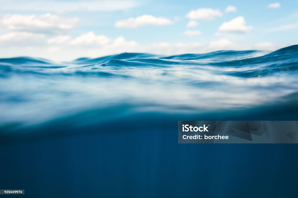 Sualtı görüntüleme - Royalty-free Deniz Stok görsel