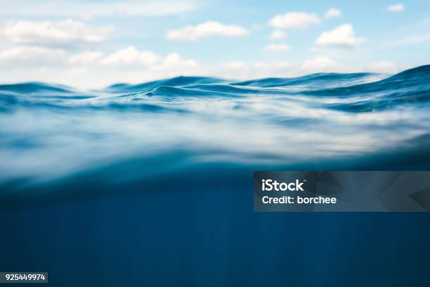 Sualtı Görüntüleme Stok Fotoğraflar & Deniz‘nin Daha Fazla Resimleri - Deniz, Su, Dalga