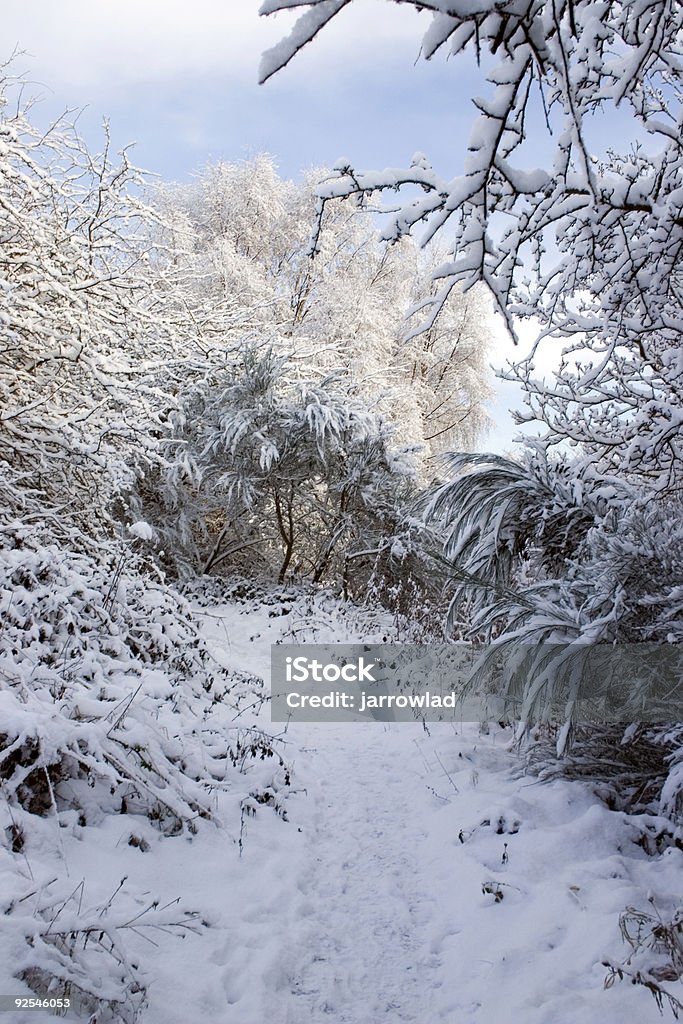 Scena di neve - Foto stock royalty-free di Ambientazione esterna