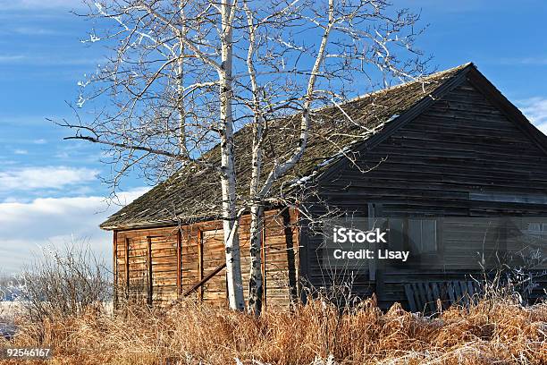 Paese Di Creazione - Fotografie stock e altre immagini di Alberta - Alberta, Ambientazione esterna, Composizione orizzontale