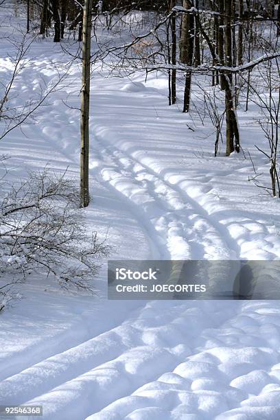 Inverno Brani - Fotografie stock e altre immagini di Acqua - Acqua, Aiuola, Albero