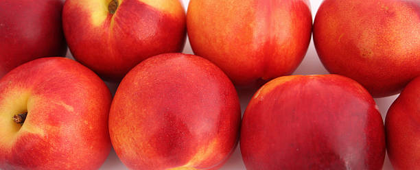 Peach banner stock photo