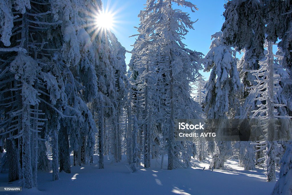 Sol de inverno IV - Foto de stock de Antártica royalty-free