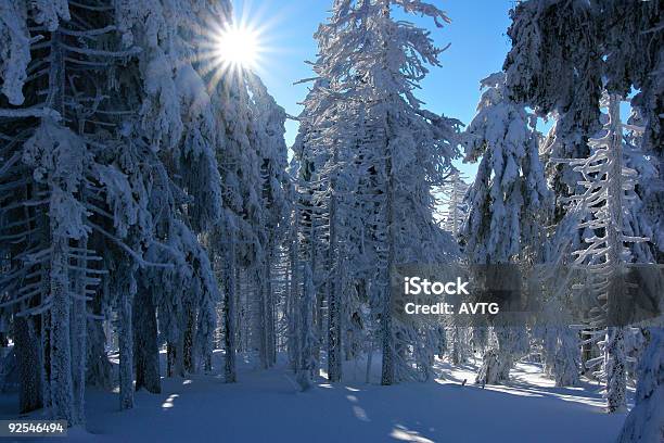 Foto de Sol De Inverno Iv e mais fotos de stock de Antártica - Antártica, Aventura, Azul