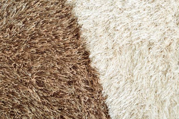 istock Brown and white hairy carpets divide in half 925467268