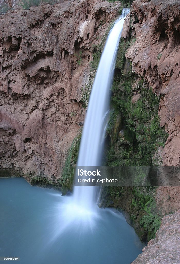 Chutes Mooney Falls - Photo de Arbre libre de droits