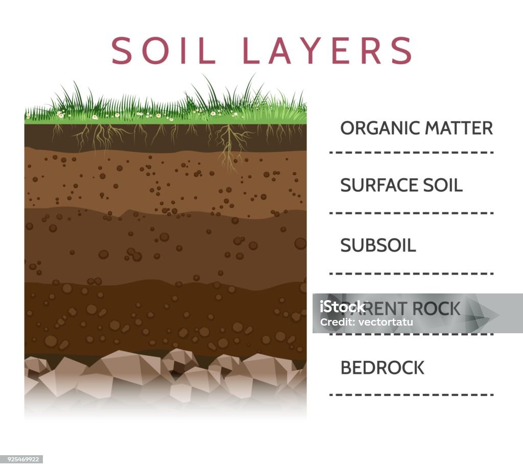 Soil layer scheme with grass Dirt layers. Soil layer scheme with grass and roots, earth texture and stones vector illustration Dirt stock vector