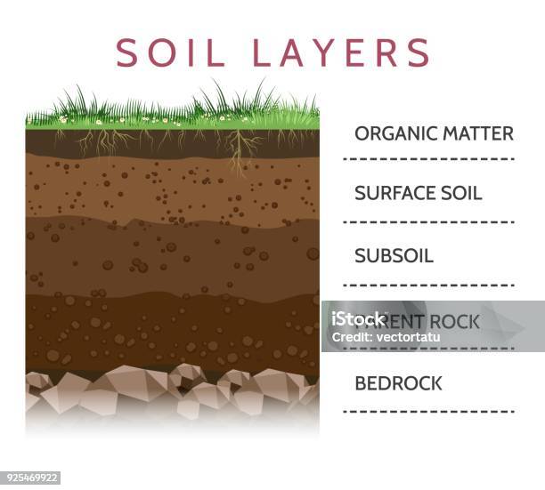 Soil Layer Scheme With Grass Stock Illustration - Download Image Now - Dirt, Multi-Layered Effect, Land