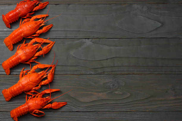istock crawfish on dark wooden background with copy space. Beer brewery concept. Beer background 925470492