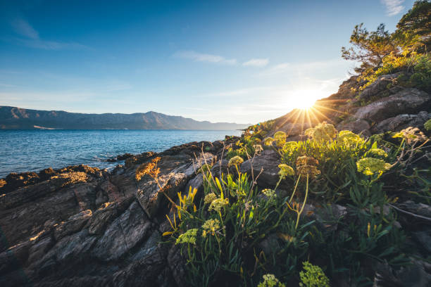 istock Sunrise On Hvar Island 925470760