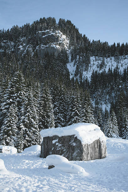 Big rock in front of the mountain stock photo