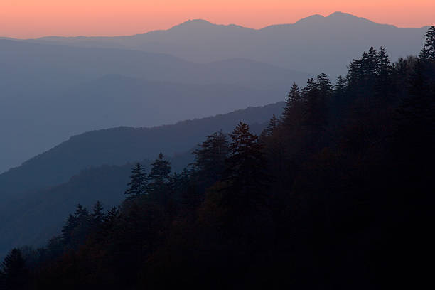 camadas da smoky mountains - great smoky mountains great smoky mountains national park tree group of objects - fotografias e filmes do acervo