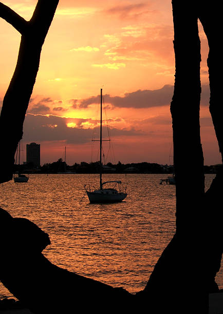 Framed Sailboat during Sunset stock photo