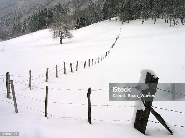 フレンチアルプスの雪 - カラー画像のストックフォトや画像を多数ご用意 - カラー画像, フランス, フランスアルプス