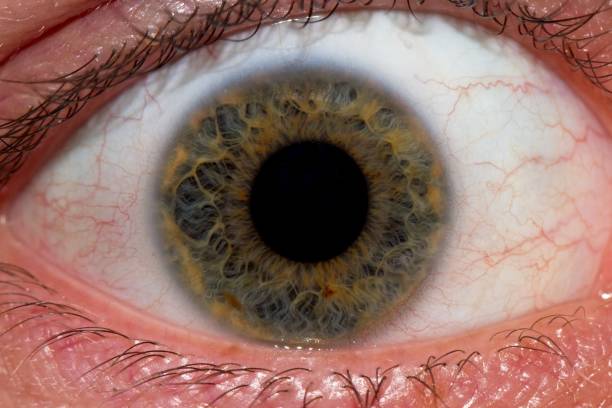 istock Close up of eyes 925475866