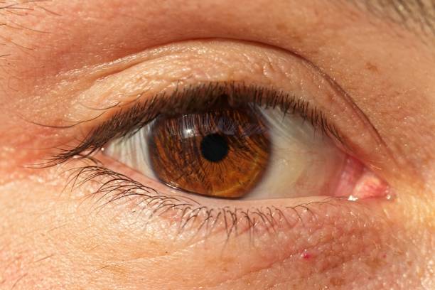 istock Close up of eyes 925476006